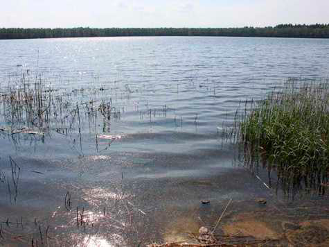 Подпись: Рис. 1. Искусственные или природные озера как источники воды 